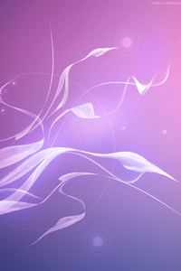Abstract Purple Graphics