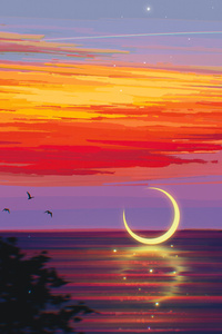 Airplane Sunset Water Birds And (1080x2280) Resolution Wallpaper