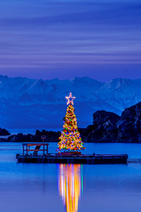 2160x3840 Alaska Amalga Harbor Christmas Tree 10k
