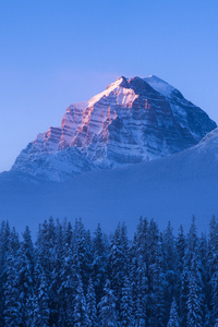 Alberta Canada Snow Mist Mountains 15k (750x1334) Resolution Wallpaper