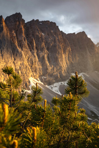 Almdorf Eng Alm Austria (480x854) Resolution Wallpaper