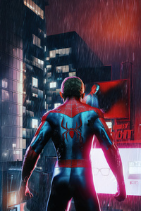 Amazing Spider Man Brand New Day (750x1334) Resolution Wallpaper