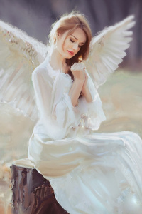 Angel With Wings