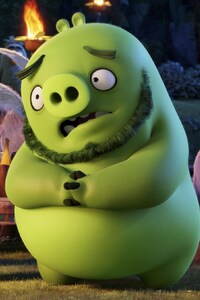 Angry Birds Movie 2016 (240x320) Resolution Wallpaper