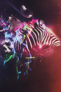 480x854 Animals Colorful Abstract