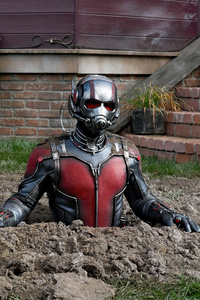 240x400 Ant Man And The Wasp 2018