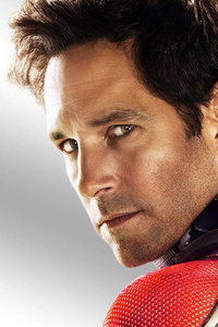 240x400 Ant Man And The Wasp HD