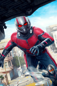 240x400 Ant Man And The Wasp Imax Poster