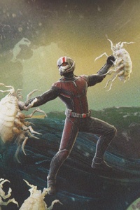 480x800 Ant Man And The Wasp Movie Concept Artwork