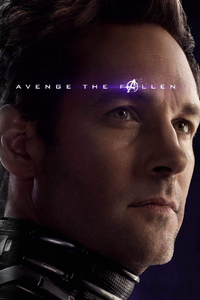 540x960 Ant Man And Wasp In Avengers Endgame 2019