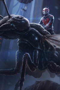 1080x2160 Ant Man Artwork