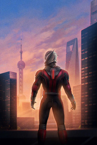 540x960 Ant Man Avengers Endgame Chinese Poster