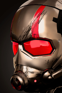 540x960 Ant Man Mask Art