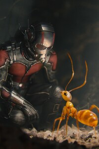 1242x2688 Ant Man Movie