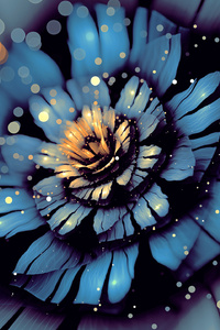 Apophysis Bloom Flower Digital Art (1125x2436) Resolution Wallpaper