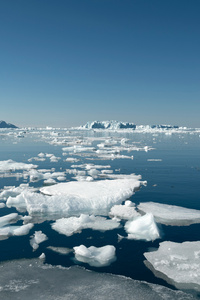 Arctic Ice Floating Ocean (640x960) Resolution Wallpaper