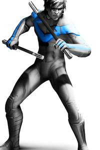Arkham City Nightwing (640x1136) Resolution Wallpaper