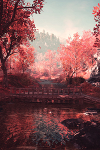 Assassins Creed Autumn (240x400) Resolution Wallpaper