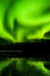 Aurora Borealis Northern Light (1280x2120) Resolution Wallpaper