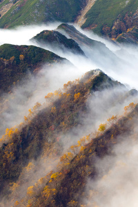 Autumn Colors Of Japanese Alps (320x480) Resolution Wallpaper