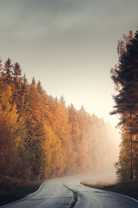1080x1920 Autumn In Finland
