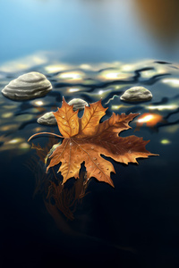 Autumn Leaf On Water (320x480) Resolution Wallpaper