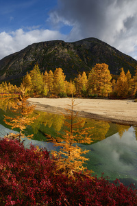 Autumn Mood Jack London Lake 4k