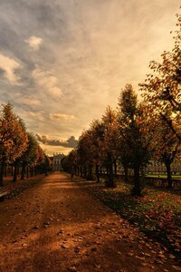 Autumn Trees Path