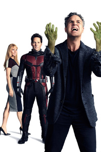 Avengers Infinity War Ant Man Hulk Mantis Pepper Potts Black Panther