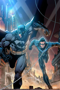 Batman And Nightwing Art