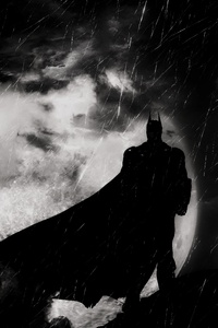 Batman Arkham Origins 8k (640x1136) Resolution Wallpaper