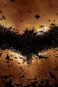 Batman Begins Bat Symbol