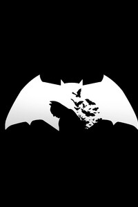 1080x2160 Batman Dark Simple