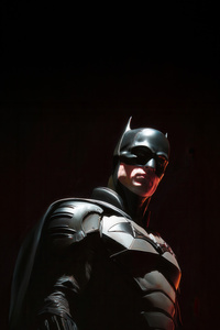 Batman Iconic Hero Stance (1080x2160) Resolution Wallpaper