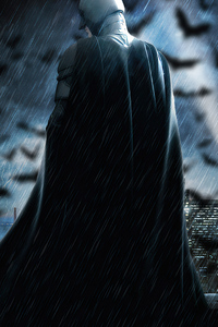 Batman Is Back (640x1136) Resolution Wallpaper