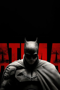 Batman Is Not A Replacement He Is A Revolution (360x640) Resolution Wallpaper