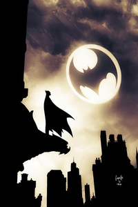 Batman Knight Bat Signal