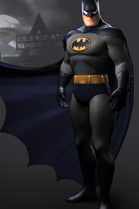 Batman Knight