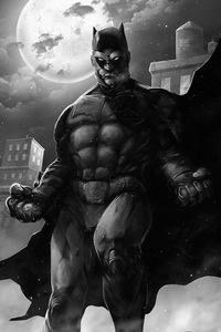 Batman Monochrome Knight (240x400) Resolution Wallpaper