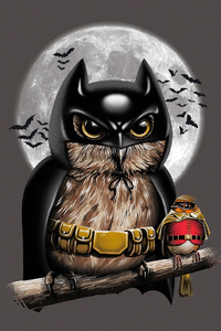 Batman Owl Robin Digital Art