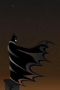 Batman Standing Cape Flowing (240x400) Resolution Wallpaper