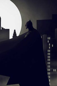 Batman Terror (1080x2280) Resolution Wallpaper
