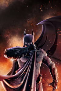 Batman The Dark Guardians Wings Unleashed (320x568) Resolution Wallpaper