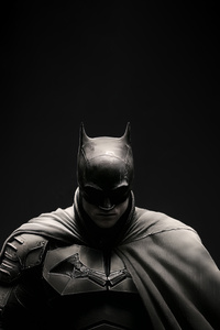 Batman The Most Regal Superhero (360x640) Resolution Wallpaper