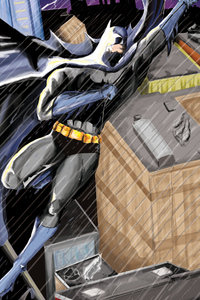 Batman The Spread (480x854) Resolution Wallpaper