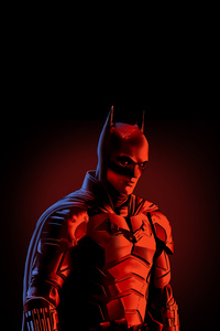 Batman The Warrior (320x568) Resolution Wallpaper