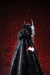 Batman Twilight Warrior (540x960) Resolution Wallpaper