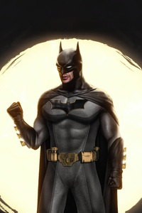 Batman Vigilante Journey (1280x2120) Resolution Wallpaper