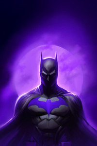 Batman Violet Vengeance (1080x2160) Resolution Wallpaper