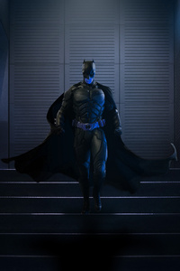 Batman Walking Downstairs